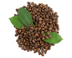 tea burn ingredients 2